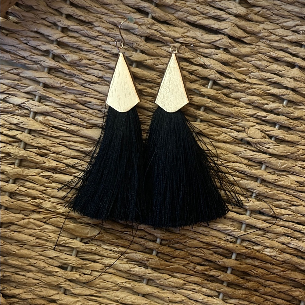 Elegant Black Tassel Earrings